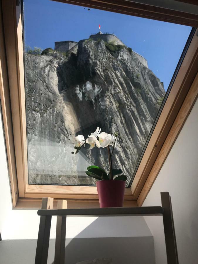 Le Saxo Cuivre Apartment Dinant Luaran gambar